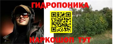 дурь Волжский