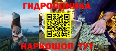 дурь Волжский