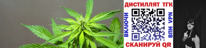 Дистиллят ТГК Wax Гулькевичи