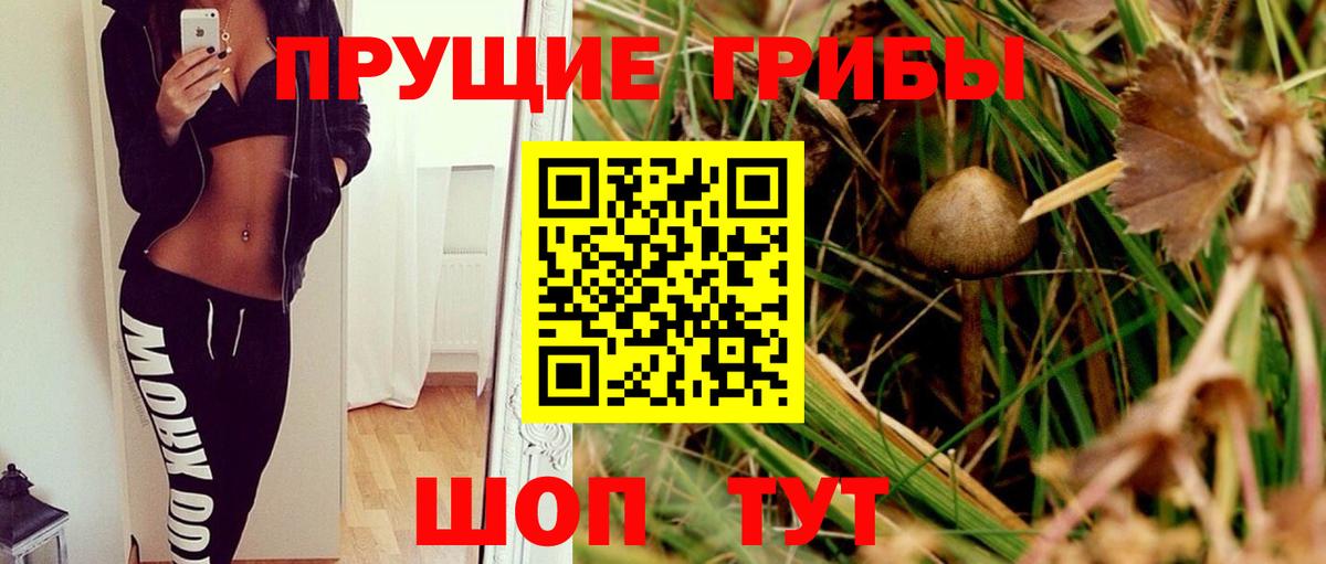 Галлюциногенные грибы прущие грибы  Гулькевичи 