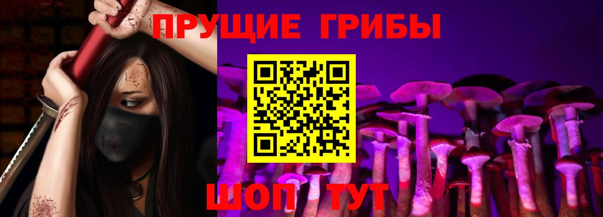 Псилоцибиновые грибы мухоморы  Вход с VPN  Псилоцибиновые грибы мухоморы  Гулькевичи 